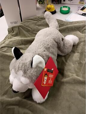 Fao schwarz adopt a pets, new from target,